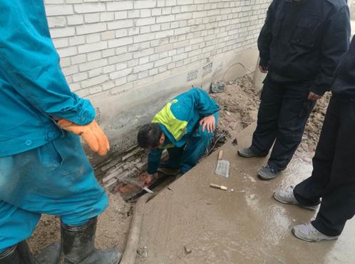 1597131021234539.jpg e292fe5ff06f5bb3a64c2f503b1d3fc.jpg